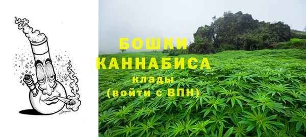 дмт Богданович