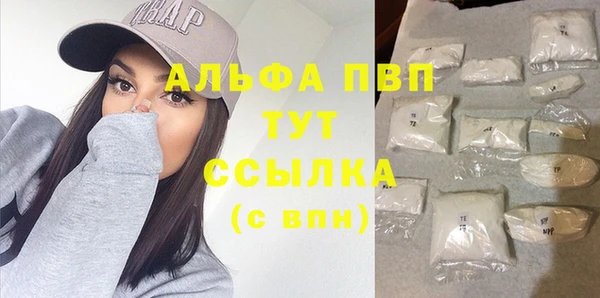 дмт Богданович
