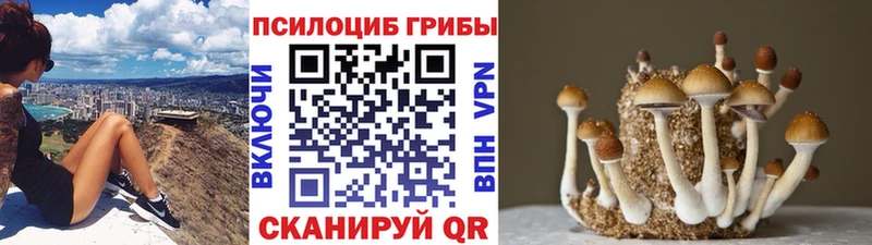 Галлюциногенные грибы GOLDEN TEACHER  Туймазы 
